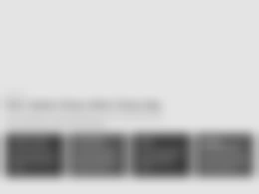 Blurred page from the client's brand guide covering the four brand values